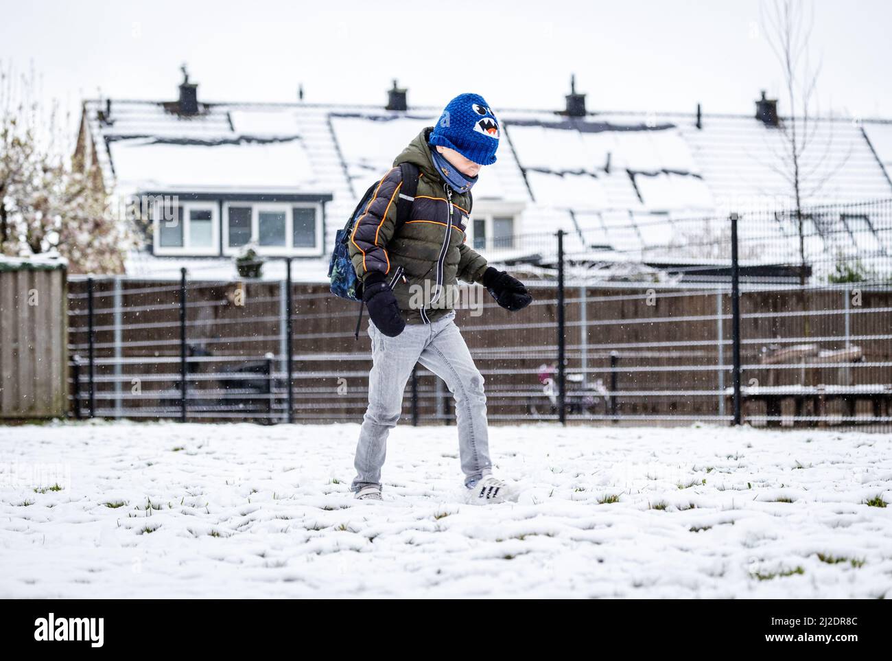 2022-04-01 07:19:42 MAASDAM - Kinder gehen zur Schule durch den Schnee. Der erste Apriltag hat mit winterlichen Wetter begonnen. ANP JEFFREY GREENWEG netherlands Out - belgium Out Credit: ANP/Alamy Live News Stockfoto