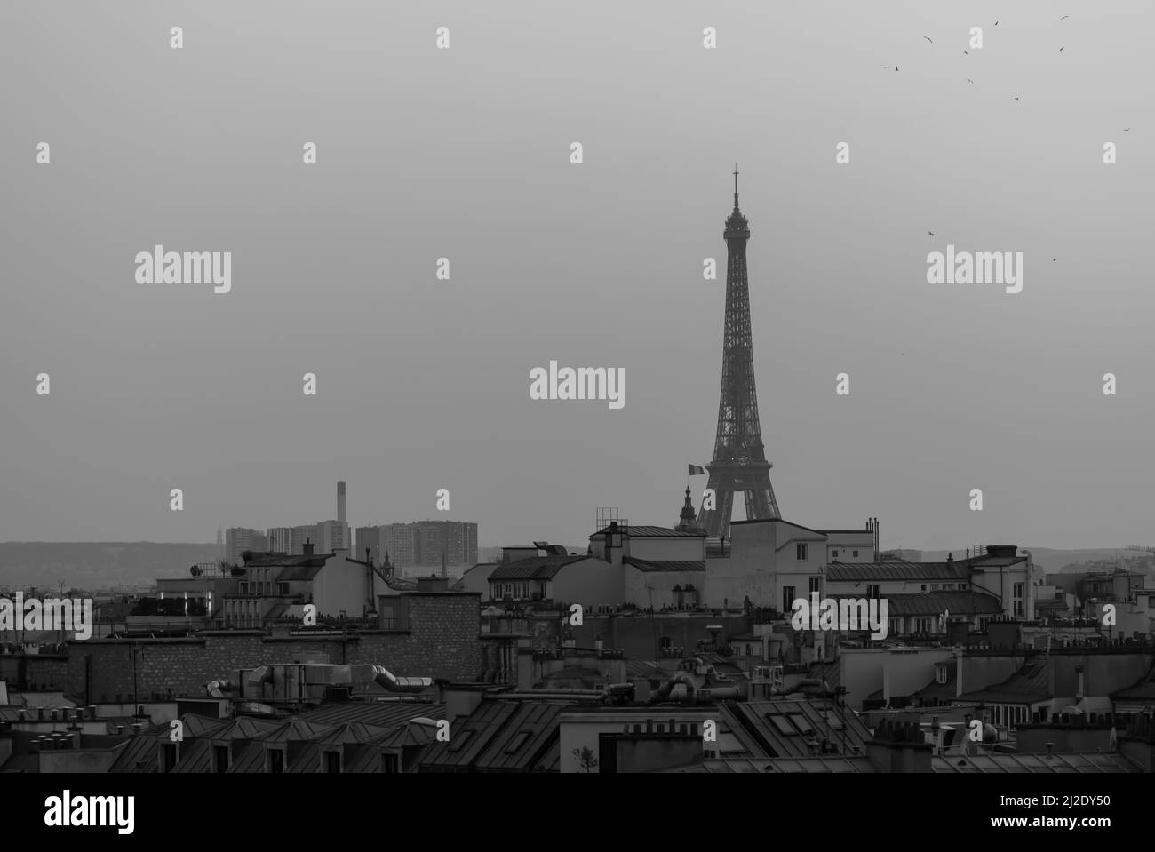 Blick auf den beeindruckenden Eiffelturm über den Dächern von Paris und einen wunderschönen Sonnenuntergang in Schwarz-Weiß Stockfoto