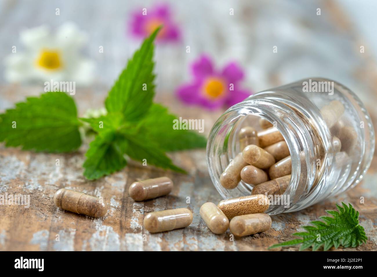 Flasche Pillen Nahrungsergänzungsmittel gesunde Medizin Medikamente Gesundheitswesen Behandlung Zusatzstoffe Apotheke mit medizinischen frischen Pflanzen und Blumenerson Hintergrund Stockfoto