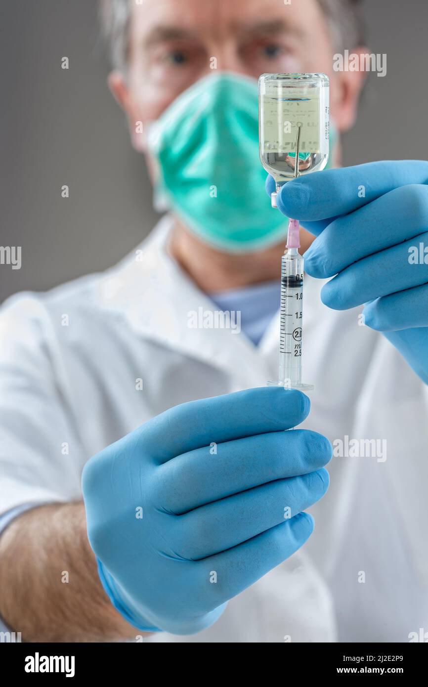 Der Arzt füllt eine Spritze mit Impfstoff auf grauem Hintergrund. Stockfoto