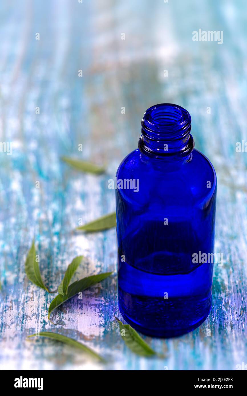 Ätherisches Öl der Zitronenverbene und Blätter auf dem blauen Holzbrett. Glas, frisch Stockfoto