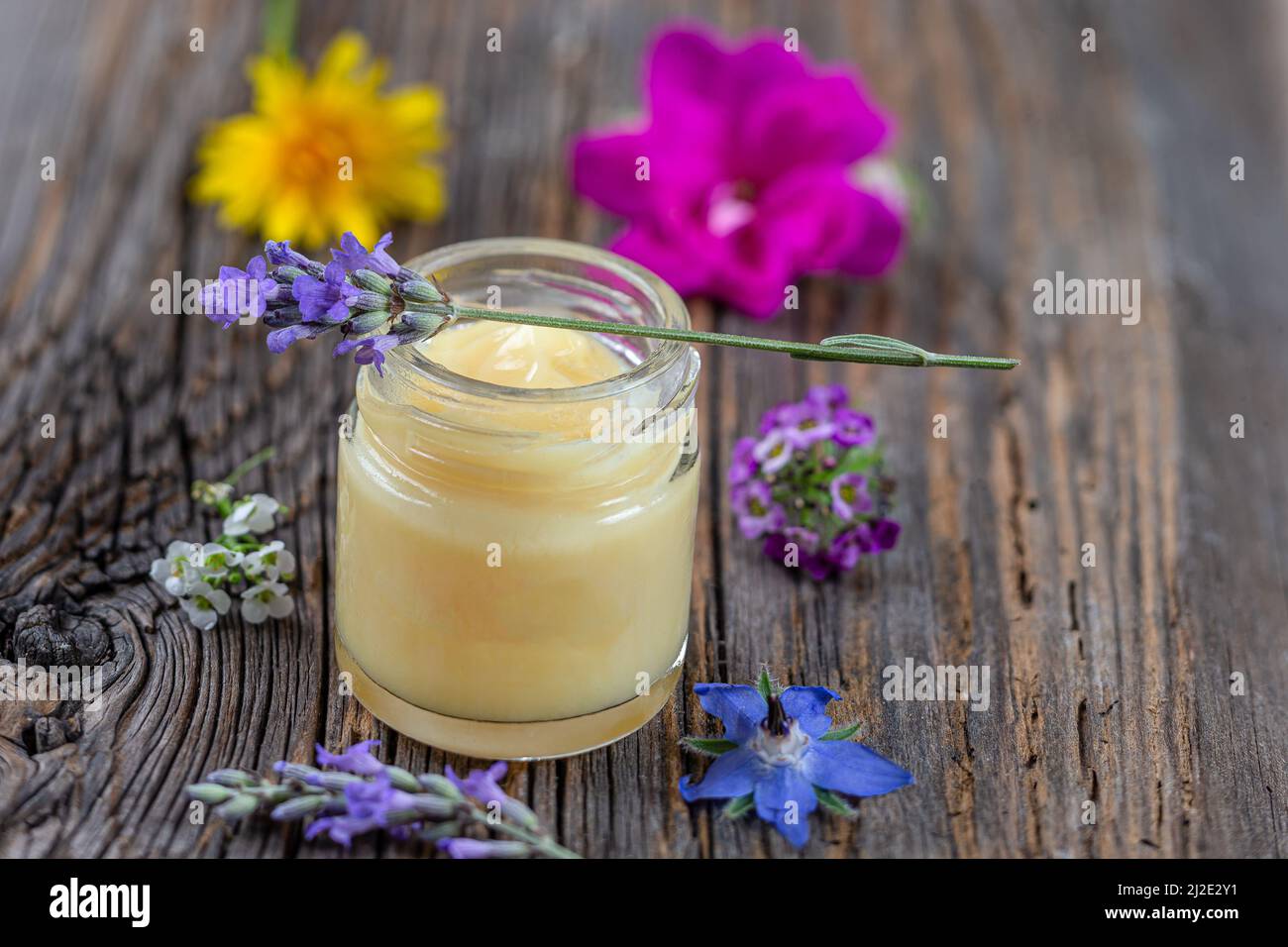 Gelee Royal Stockfoto