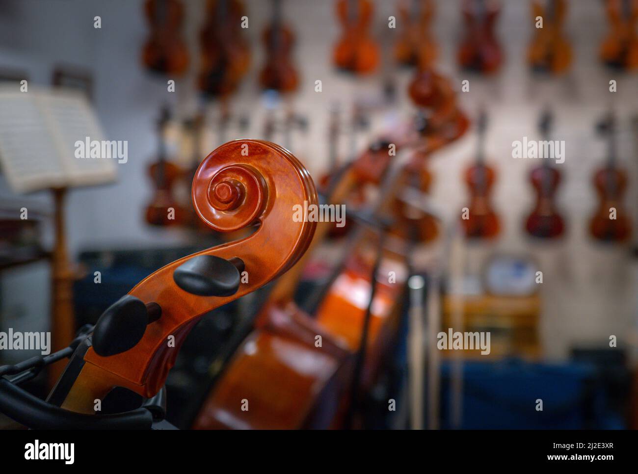 Eine Cello-Peg-Box in einem Musikinstrumentengeschäft. Stockfoto