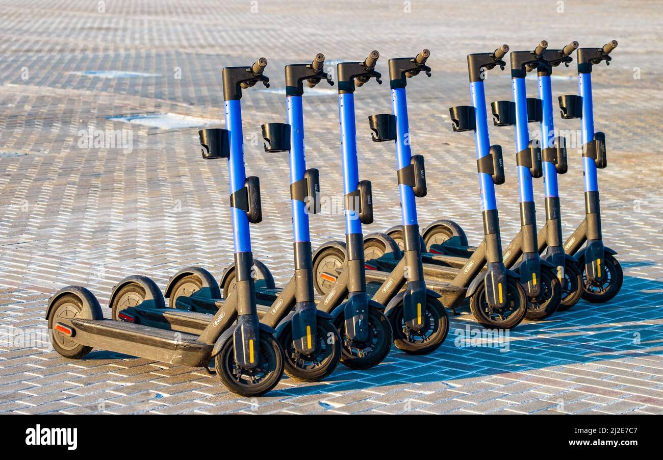 Minsk, Weißrussland - 24. März 2022: Acht blaue Elektroroller in Folge warten auf die Nutzer. Moderne städtische umweltfreundliche Verkehrsmittel Stockfoto