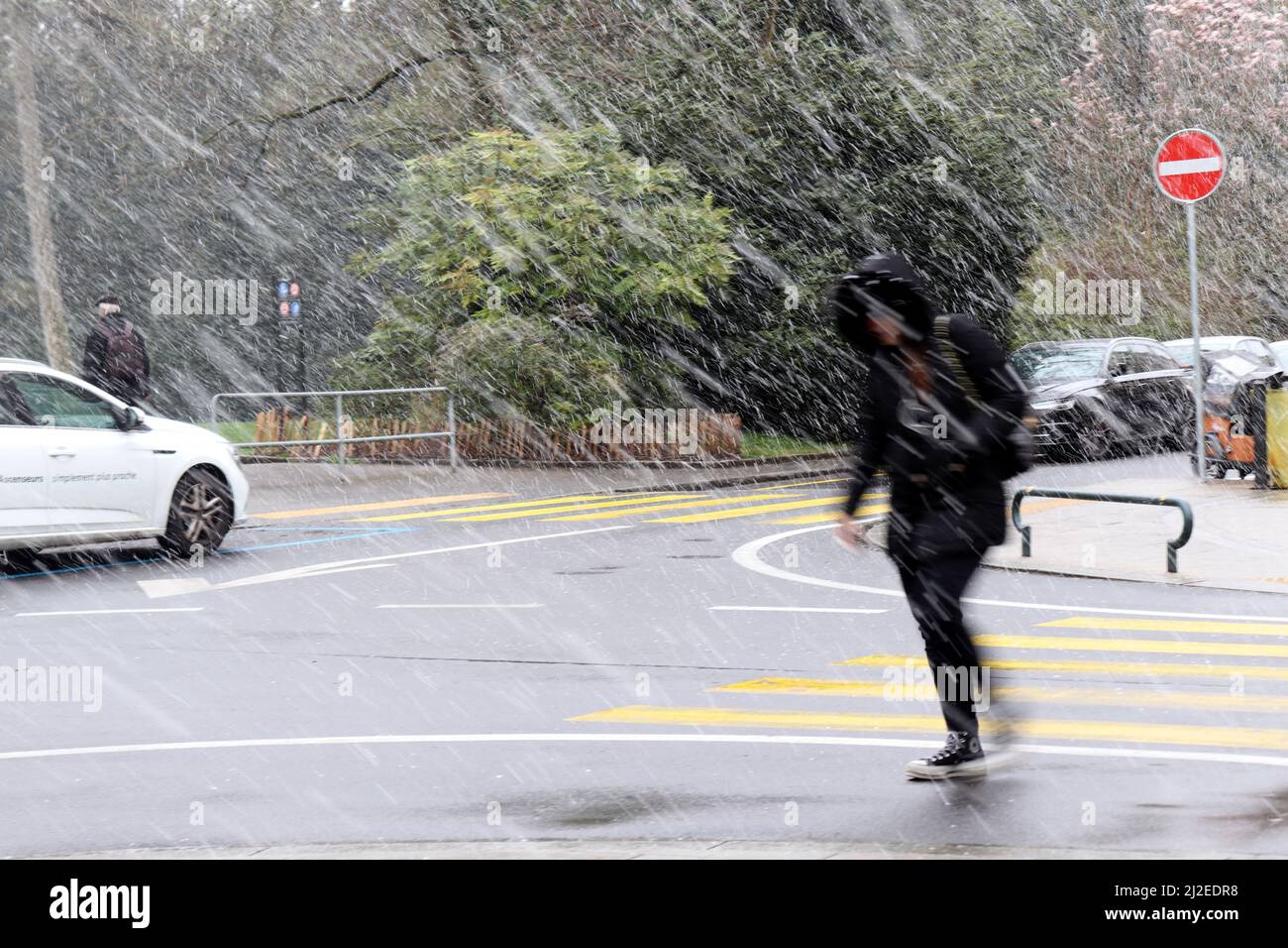 Genf, Schweiz, 2022-04-01 Frau überquert die Straße durch den Schnee vor dem Park Bertrand. Der erste Apriltag hat mit winterlichen Wetter begonnen. Kredit: marcio cimatti/Alamy Live Nachrichten Stockfoto
