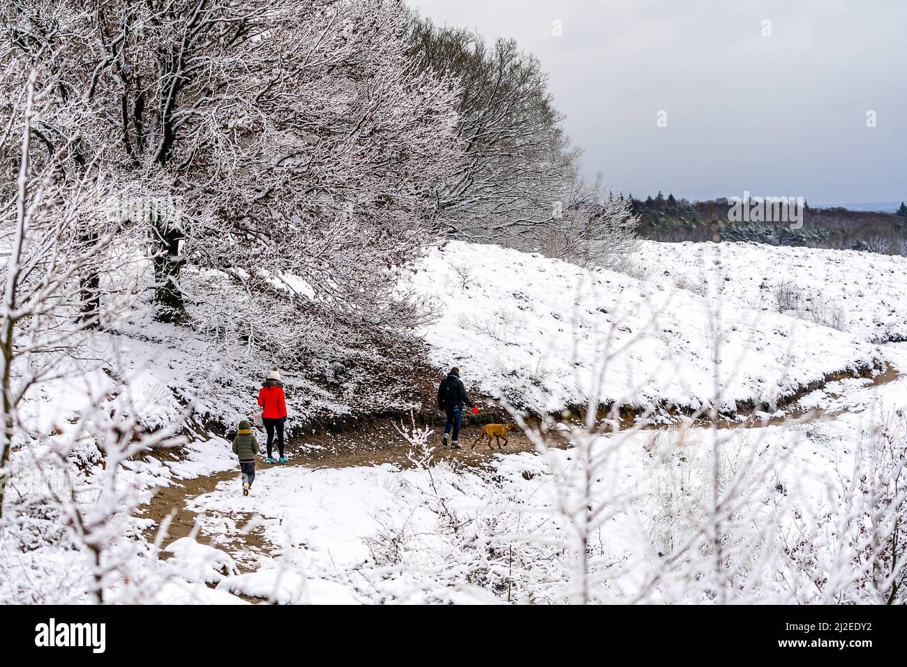 2022-04-01 12:03:40 RHEDEN - Wanderer gehen durch die verschneiten Hügel des Nationalparks Veluwezoom in der Nähe von Rheden. Der erste Apriltag hat mit winterlichen Wetter begonnen. ANP ROB ANGELAAR netherlands Out - belgium Out Credit: ANP/Alamy Live News Stockfoto