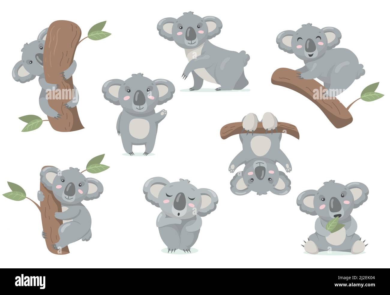Liebenswert Koala Baby flat set für Web-Design. Cartoon niedlichen australischen Bären stehen, klettern Baum und essen Eukalyptusblatt isoliert Vektor illustrat Stock Vektor