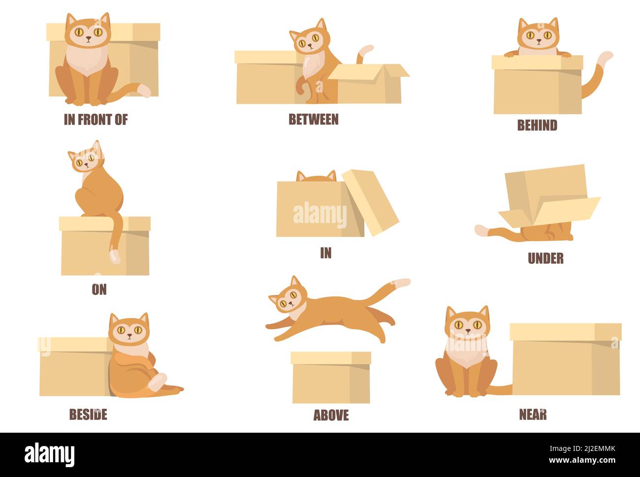 Lernen von Präpositionen mit Hilfe von Katz und Box Flat Set für Webdesign. Cartoon Katze oben, hinter, zwischen, nah und unter Feld isoliert Vektor illustrr Stock Vektor