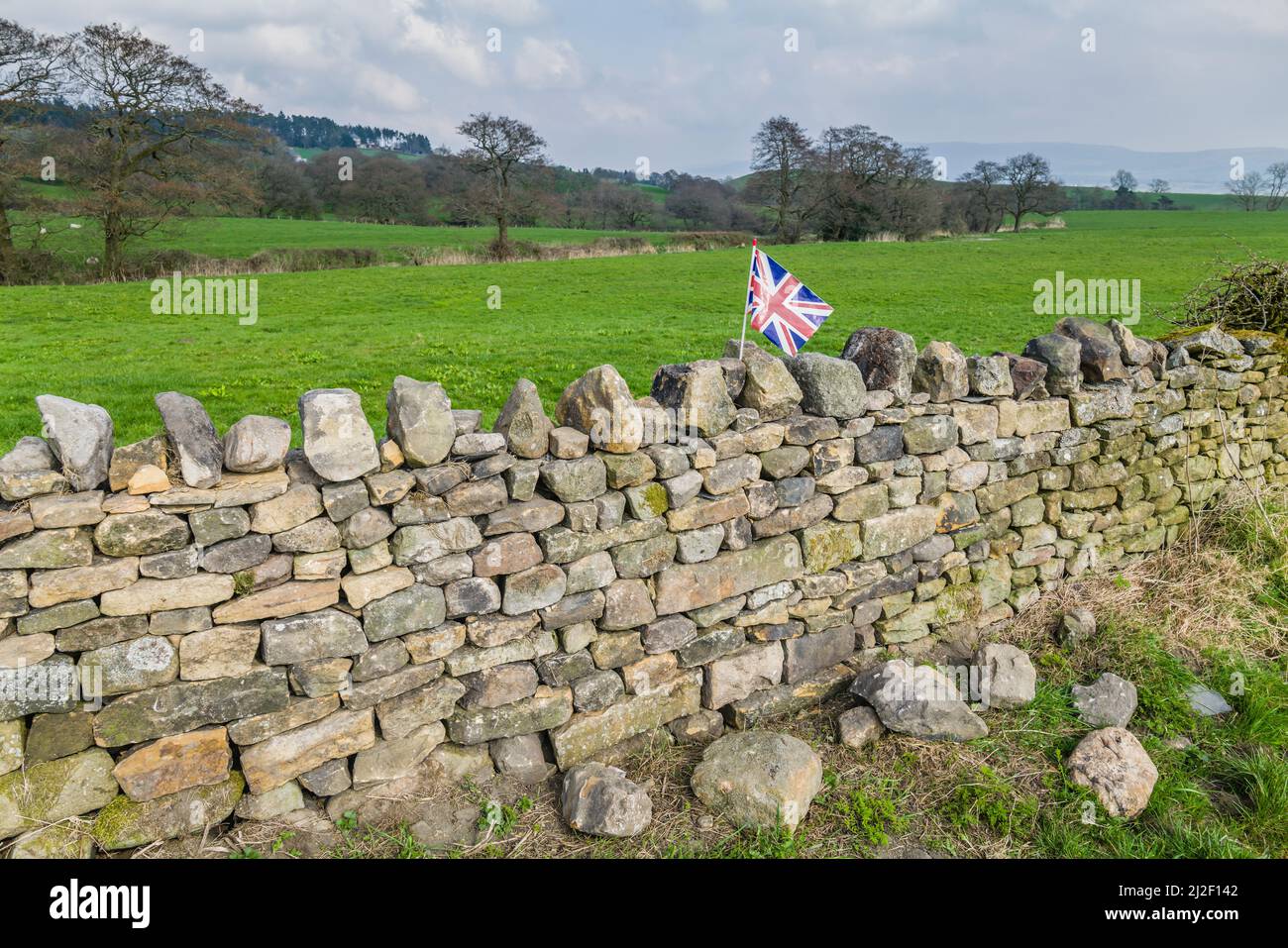 Union Jack-Flagge auf Trockensteinmauer, Longridge Fell, Lancashire, Großbritannien. Stockfoto