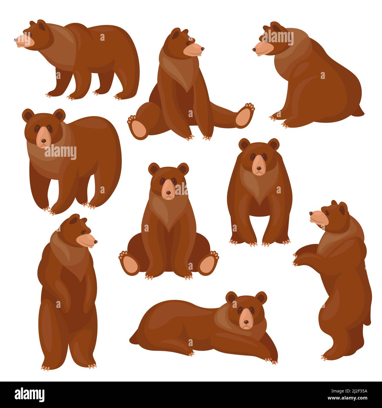 Braunbären-Set. Verschiedene Ansichten und Posen von niedlichen Cartoon Grizzly sitzen, stehen, gehen isoliert auf weiß. Vektorgrafiken für Wildtiere, PR Stock Vektor