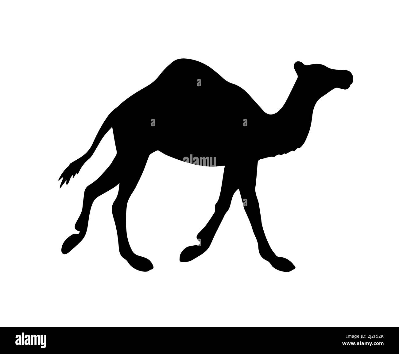 Vektor schwarz flach Dromedar einbuckelten Kamel Silhouette isoliert auf weißem Hintergrund Stock Vektor
