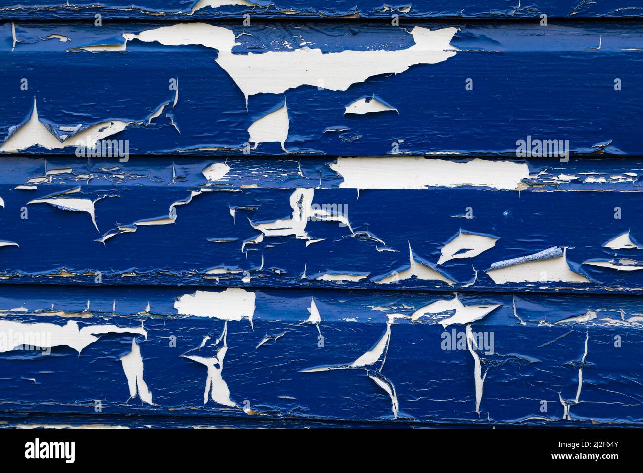 Blaue, verzweifelte, abblätternde blaue Farbe, die weißes Holz darunter aufdeckt. Strandhütte.Herne Bay, Kent, England Stockfoto