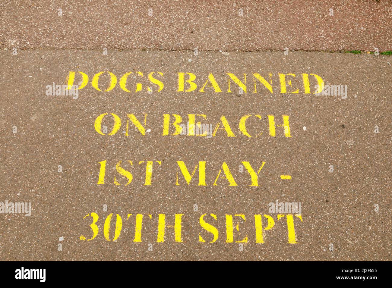 Auf dem Gehweg an der Promenade wurde eine Notiz gemalt. Hunde am Strand verboten, 1.. Mai bis 30.. September, Herne Bay, Kent, England Stockfoto