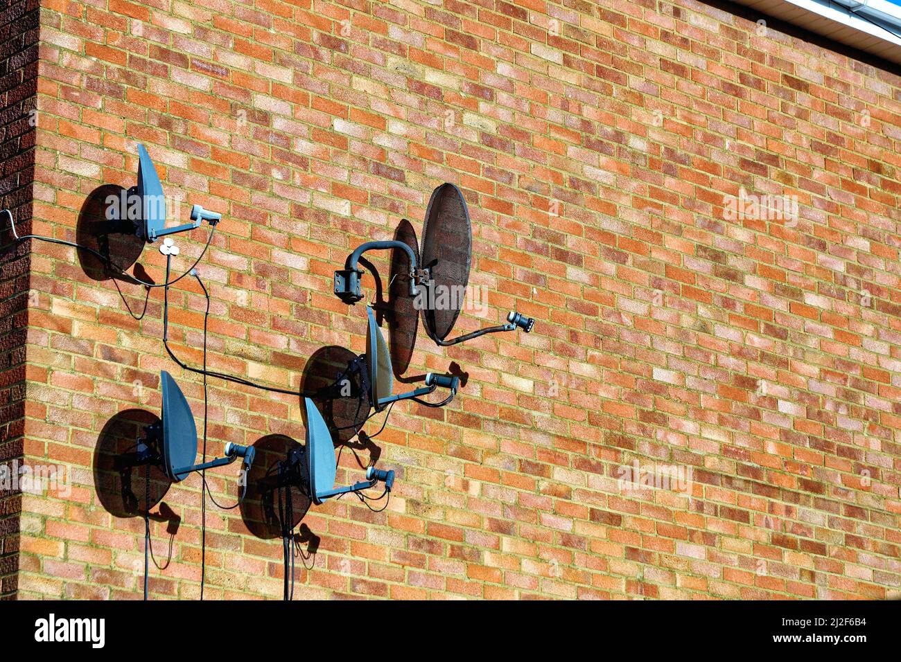 Vier Sky-TV-Satellitenschüsseln in unmittelbarer Nähe an einer Backsteinmauer West London England Großbritannien angeschlossen Stockfoto Vier Sky-TV-Satellitenschüsseln in unmittelbarer Nähe an einer Backsteinmauer West London England Großbritannien angeschlossen Stockfoto