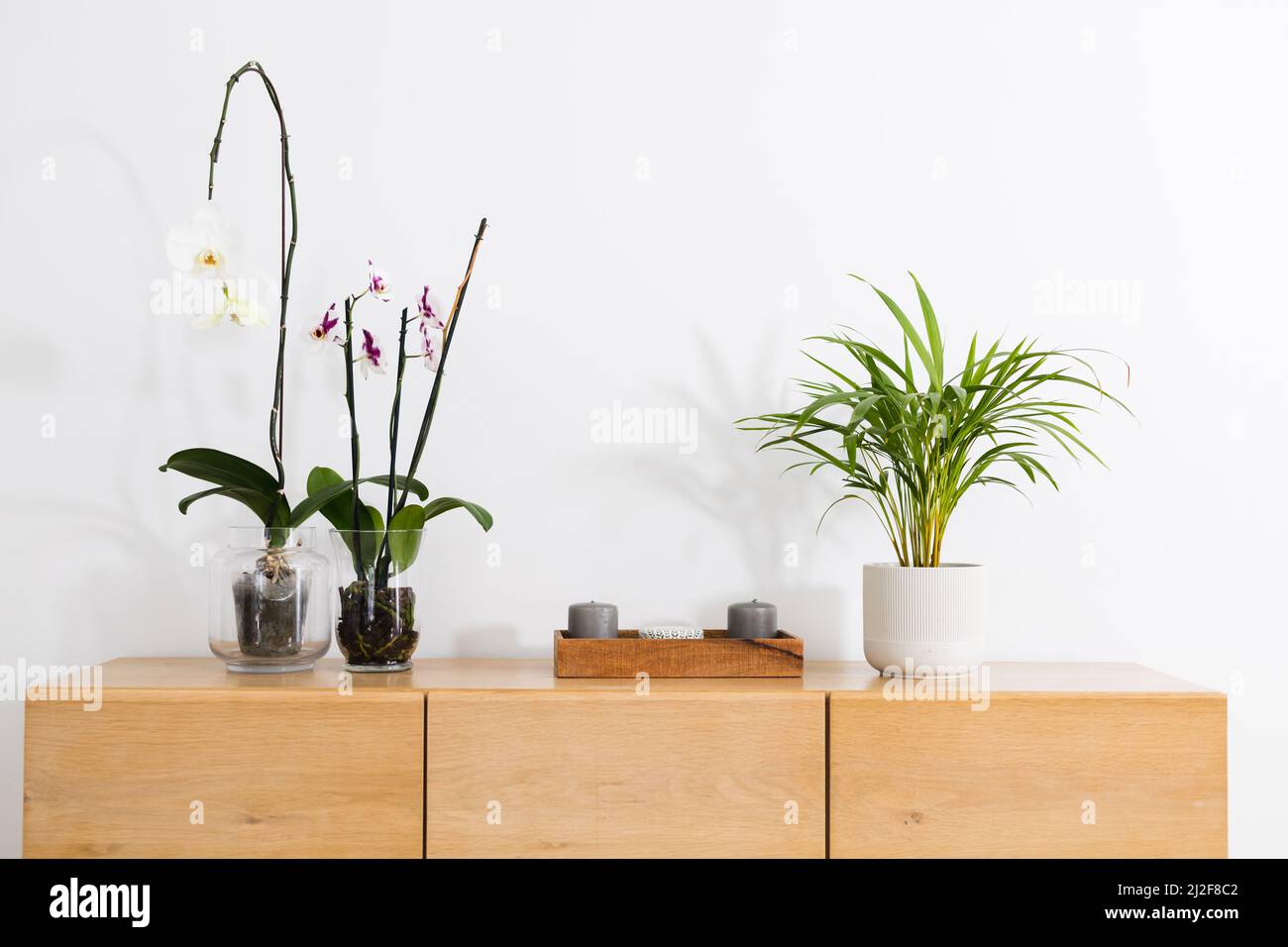 Frische Blumenvasen und Zimmerpflanzen auf Sideboard gegen weiße Wand zu Hause mit Kopierplatz Stockfoto
