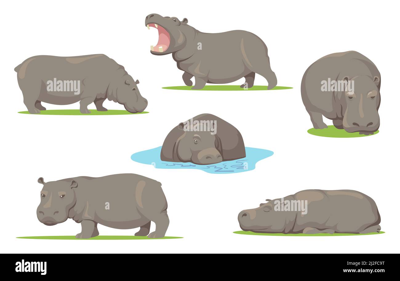 Hippo in verschiedenen Posen flach Set für Web-Design. Cartoon wilde Kreatur stehen, sitzen und gehen auf weißem Hintergrund Vektor-Illustration collecti Stock Vektor