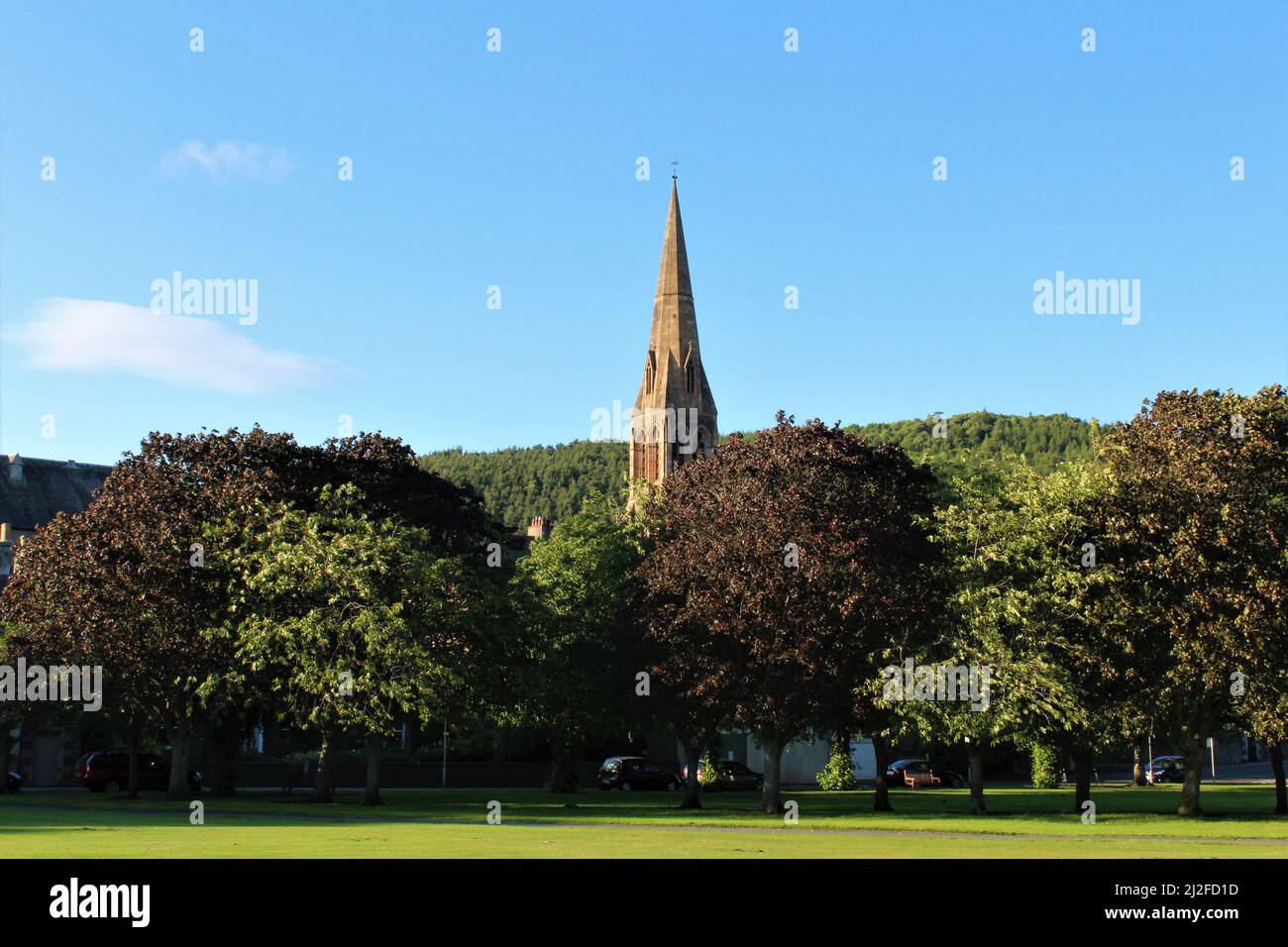 Tweed Green Trees mit Glentress im Hintergrund im Sommer (Peebles, Scottish Borders, Schottland) Stockfoto