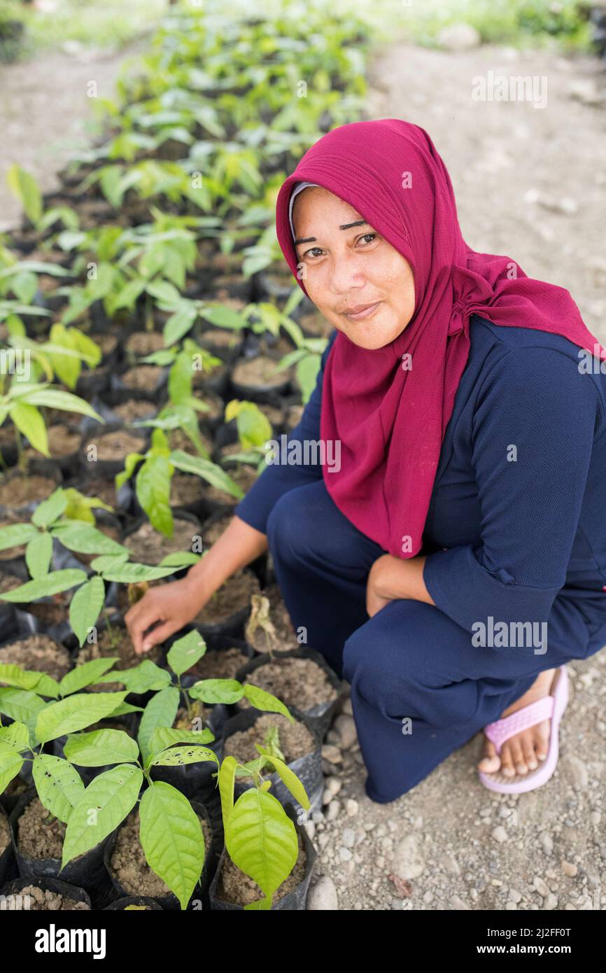 Satriani (35) ist ein kleiner Kakaobauer im Mamuju-Regency, der von der landwirtschaftlichen Ausbildung im Rahmen des Green Prosperity-Projekts der Indone profitiert hat Stockfoto