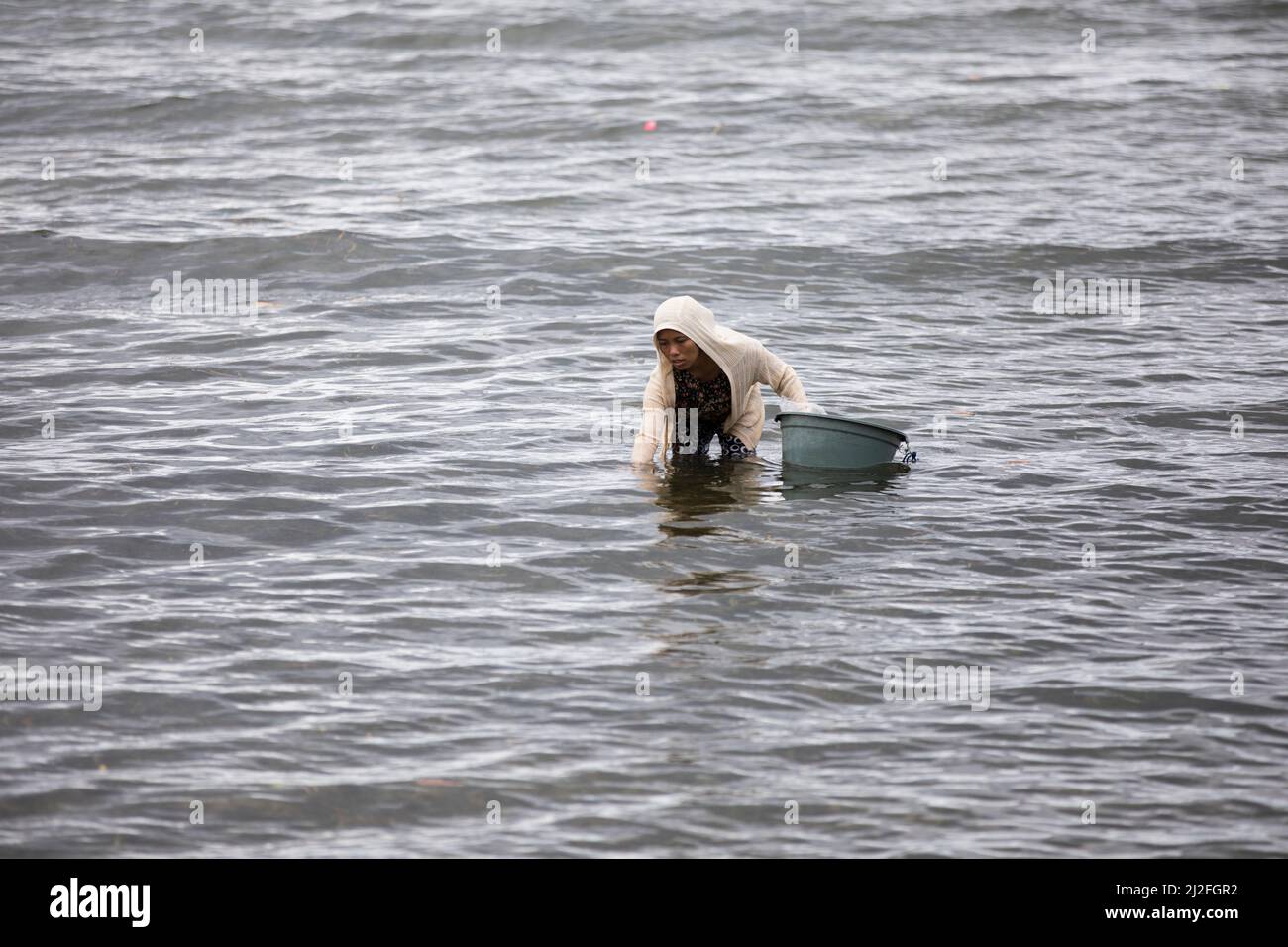 Eine Frau sucht an den Ufern der Insel Karampuang, Indonesien, Asien, nach Krabben und Austern. Stockfoto