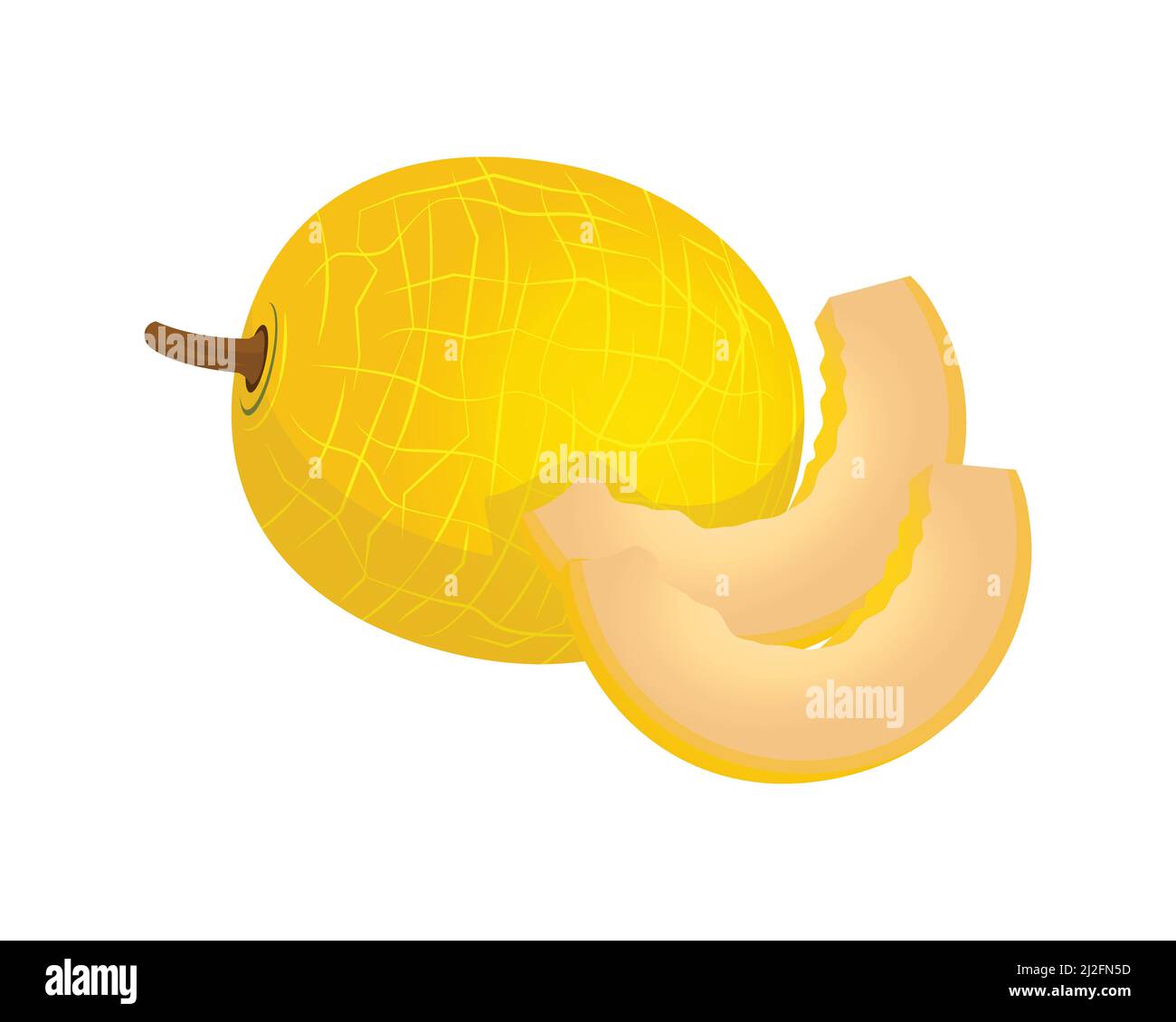 Detaillierte Melone zusammen mit Slices Illustration Vector Stock Vektor