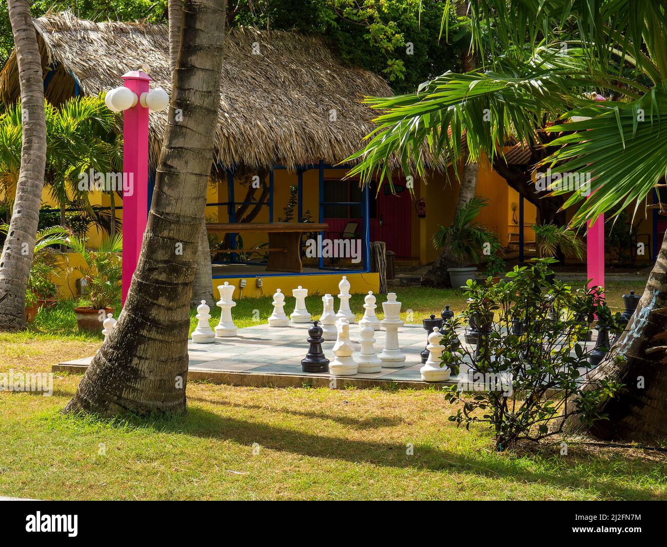 Schachbrett und Schachfiguren auf einem tropischen Rasen des Resorts Stockfoto