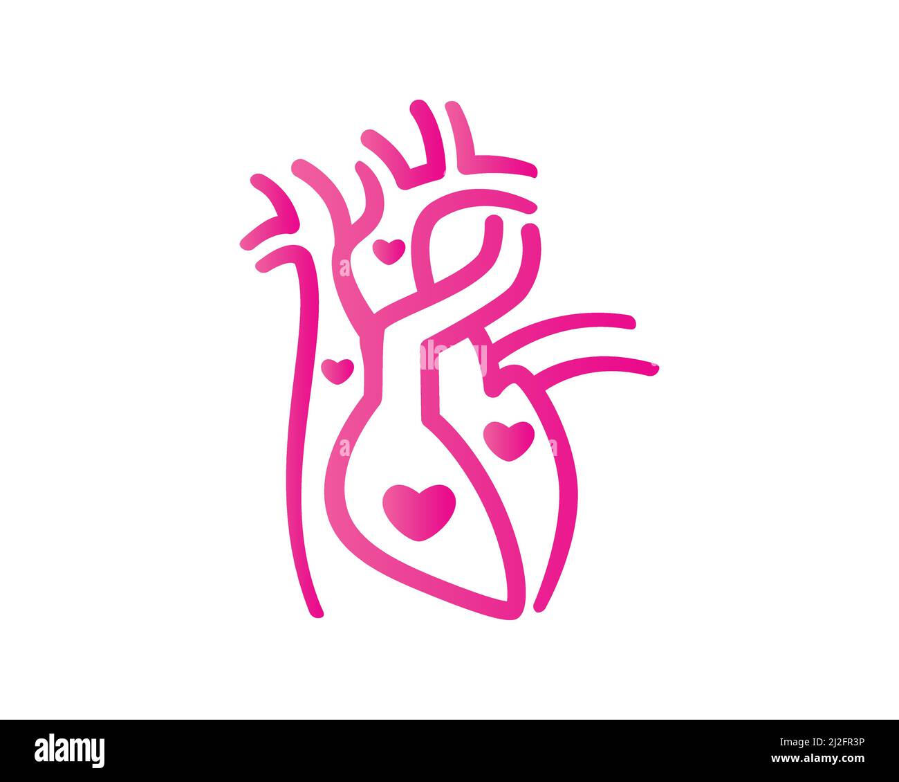 Gesunder Menschenherz und Blutfluss mit Liebe Symbol Vektor Stock Vektor