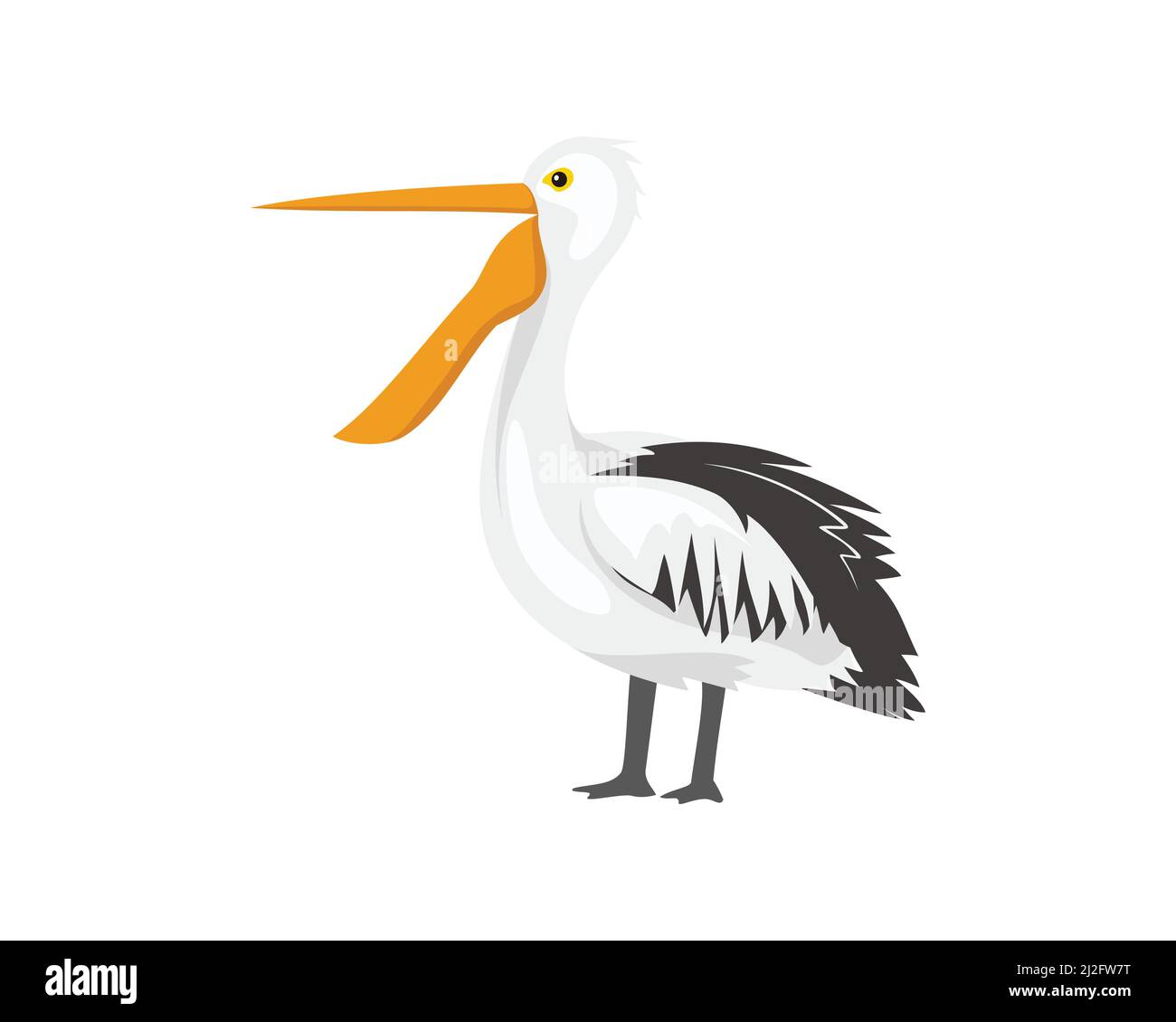 Seitenansicht stehender Pelikan mit geöffnetem Mund Illustration Vektor Stock Vektor