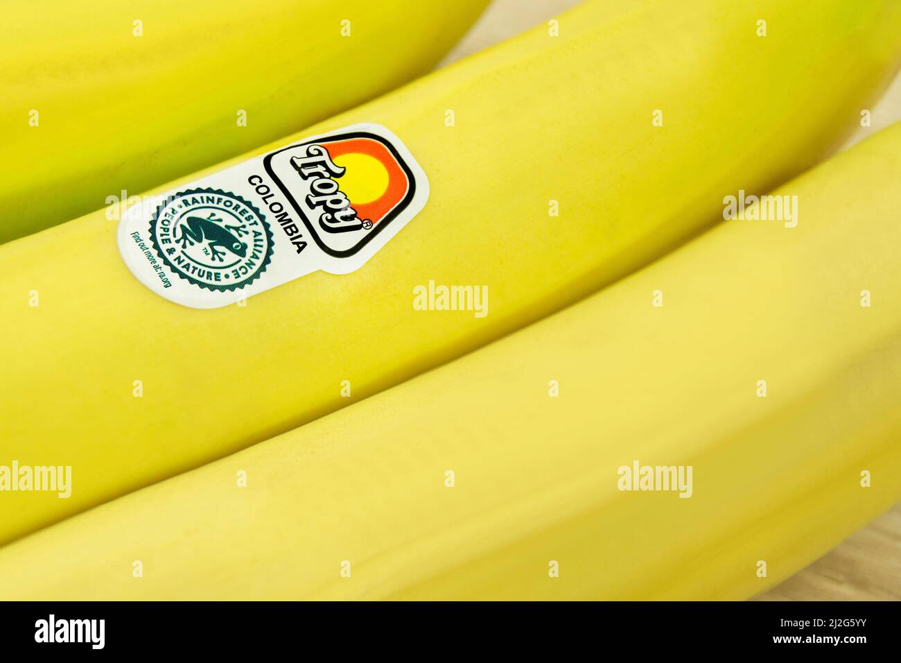 Hamburg, Deutschland März 14 2022 Bananen aus Kolumbien mit Tropy