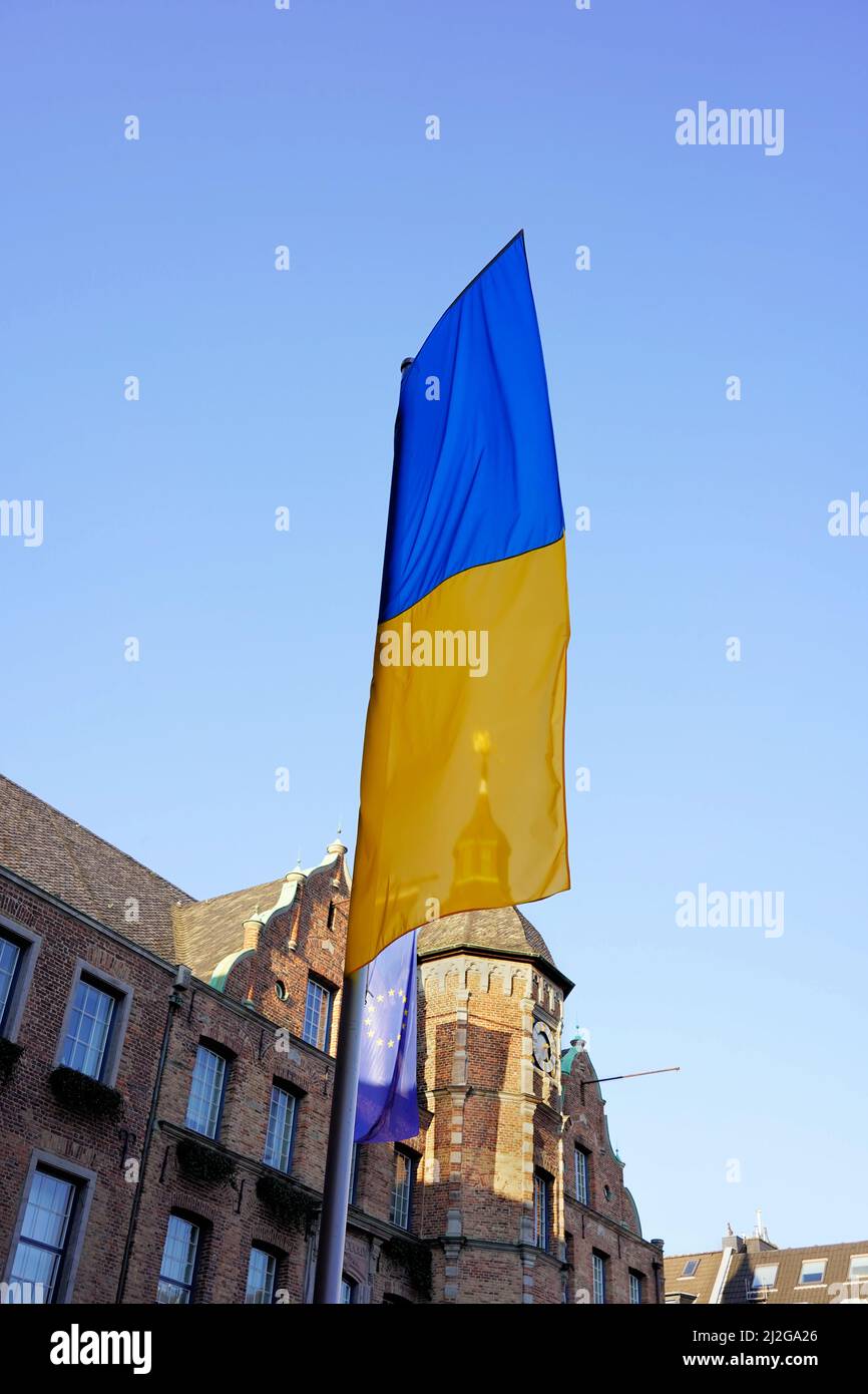Ukrainische Flagge und Flagge der Europäischen Union vor dem alten Rathaus in Düsseldorf. Stockfoto