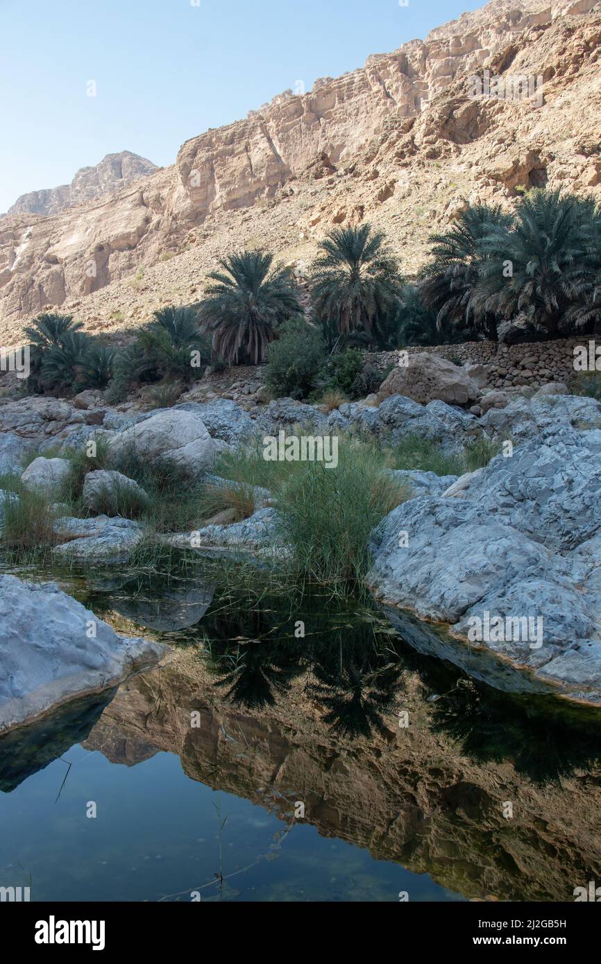 Ein Blick auf den Wadi Al Arbeien Canyon Stockfoto