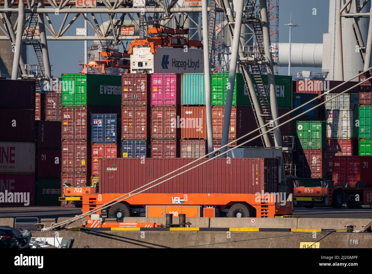 Selbstfahrende, automatisierte Containertransporter bringen die Container zu den Lade- und Lagerorten, Hutchinson ECT Delta Terminal, Container Te Stockfoto