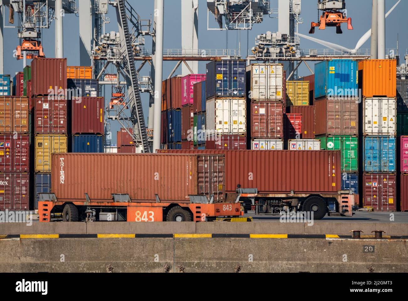 Selbstfahrende, automatisierte Containertransporter bringen die Container zu den Lade- und Lagerorten, Hutchinson ECT Delta Terminal, Container Te Stockfoto