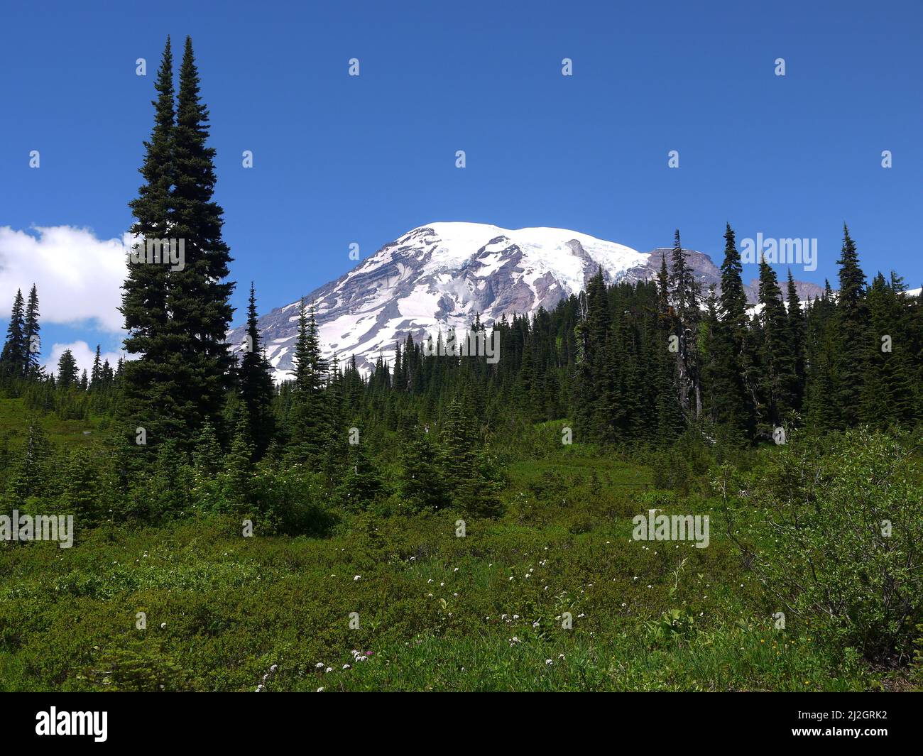 Mount Rainier Stockfoto