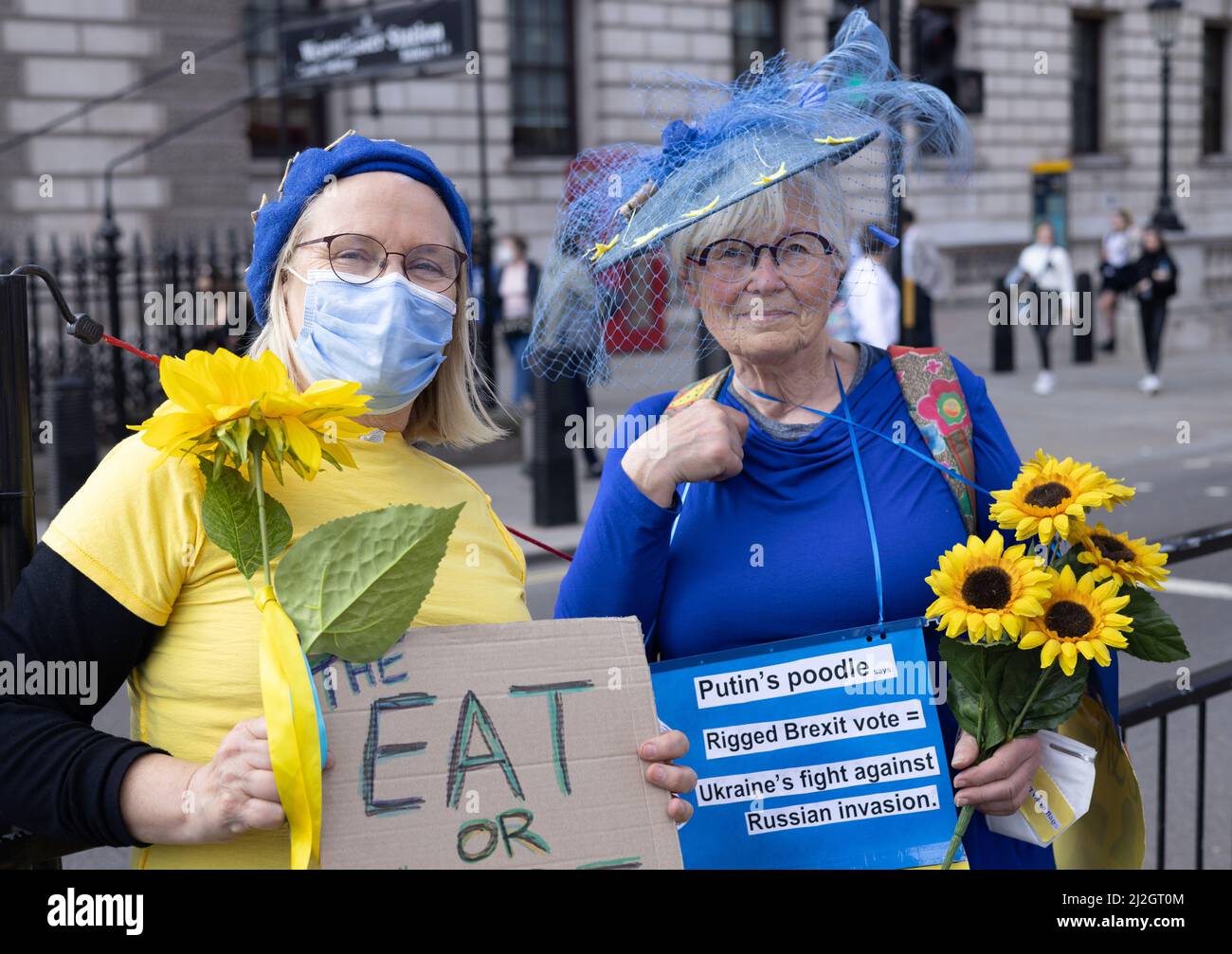Ukraine Kriegsunterstützung mit Sonnenblumen und Protest der britischen Regierung. Ältere Frauen protestieren vor dem parlament, Westminster London, Großbritannien Stockfoto