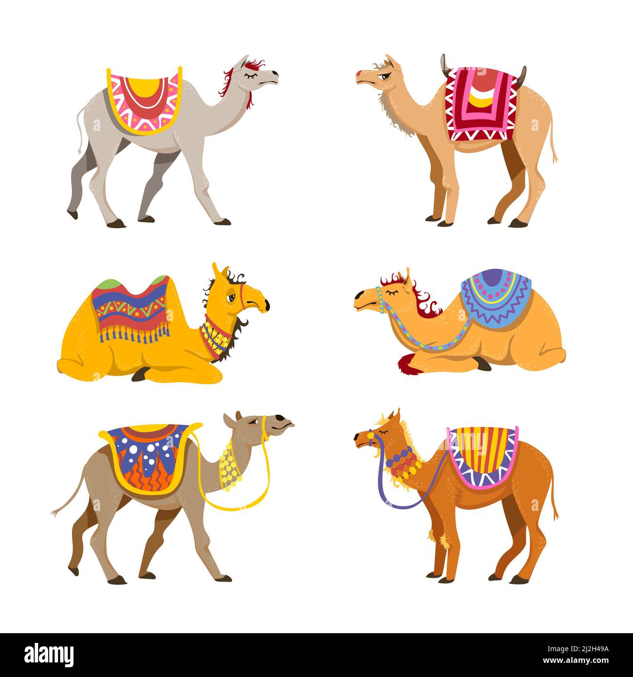 Kamel Set für Wüstenkarawane. Cartoon-Vektorgrafiken. Gruppe von niedlichen baktrischen und Dromedarkamelen isoliert auf weißem Hintergrund. Lustige Tiere mit Stock Vektor