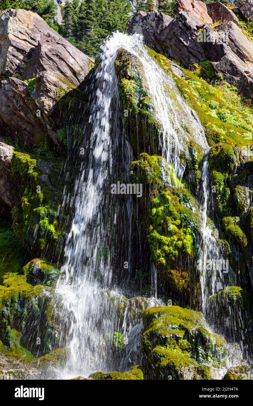 WA21267-00...WASHINGTON - Wasserfall entlang der Route zum White Chuck Glacier im Glacier Peak Wilderness Area. Stockfoto