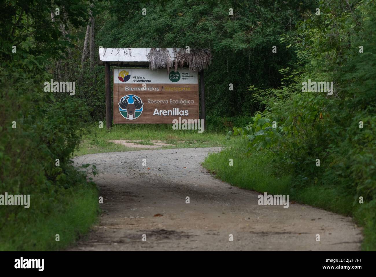 Ökologisches Reservat Arenillas in der Provinz El Oro im Süden Ecuadors, Südamerika. Stockfoto