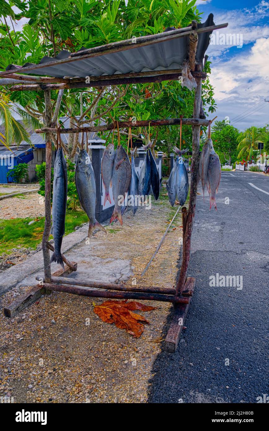 Frische Fische im Dorf Garara, Südlitle Kei Inseln genommen @Dorf Garara, Maluku Tenggara, Molukken, 97611, Indonesien Stockfoto