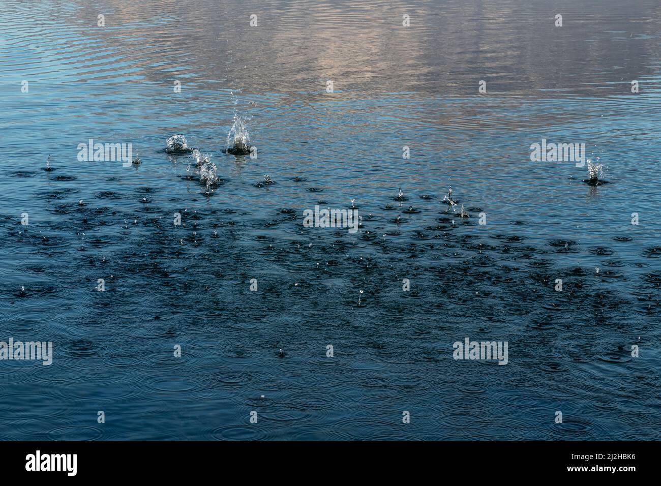 Wasser spritzt im See nach Kieseln werfen Stockfoto