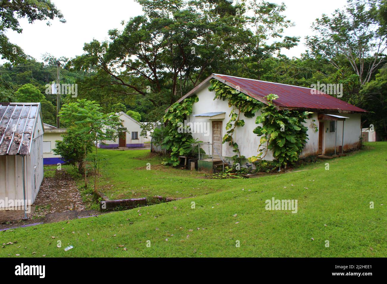 SAN ANTONIO, BELIZE - 26. OKTOBER 2015 Ruinen der Patrouillenbasis der britischen Armee in Salamanca Camp Barracks mit Bäumen und Dschungel Stockfoto