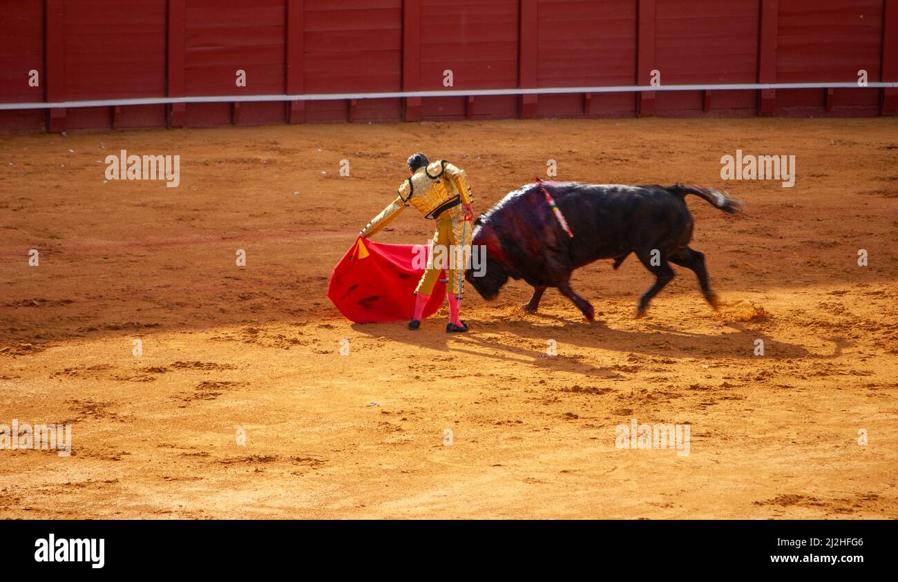 la Real Maestranza, Plaza De Toros, von Sevilla, Andalusien, spanien, , Stierkampf mit Stieren und Stierkämpfern, während der Feria De Abril in Sevilla Stockfoto