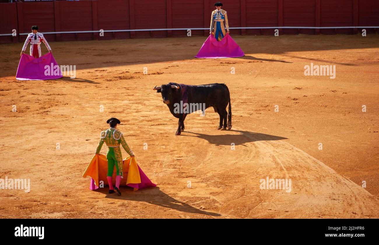 la Real Maestranza, Plaza De Toros, von Sevilla, Andalusien, spanien, , Stierkampf mit Stieren und Stierkämpfern, während der Feria De Abril in Sevilla Stockfoto