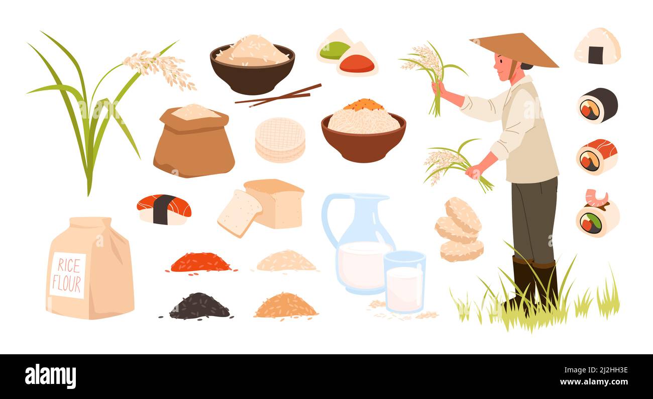 Set aus rohem und gekochtem Reis, Reisprodukten und Pflanzen, Zutaten und Mahlzeitsammlung Stock Vektor