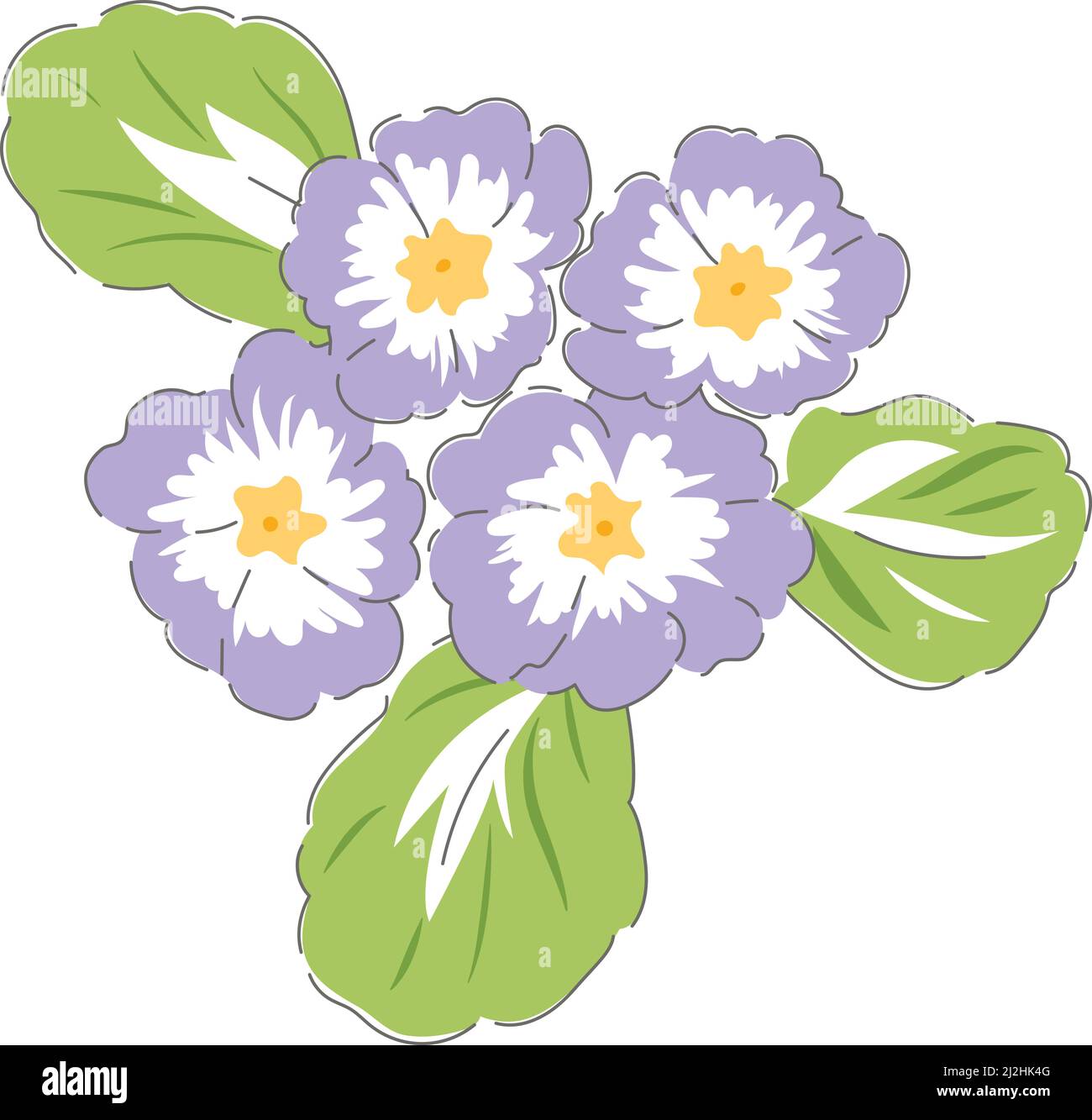 Primula Frühling Blume botanische Hand gezeichnet Vektor-Illustration Set isoliert auf weiß. Vintage romantische Cottage Garten Blumendruck. Stock Vektor