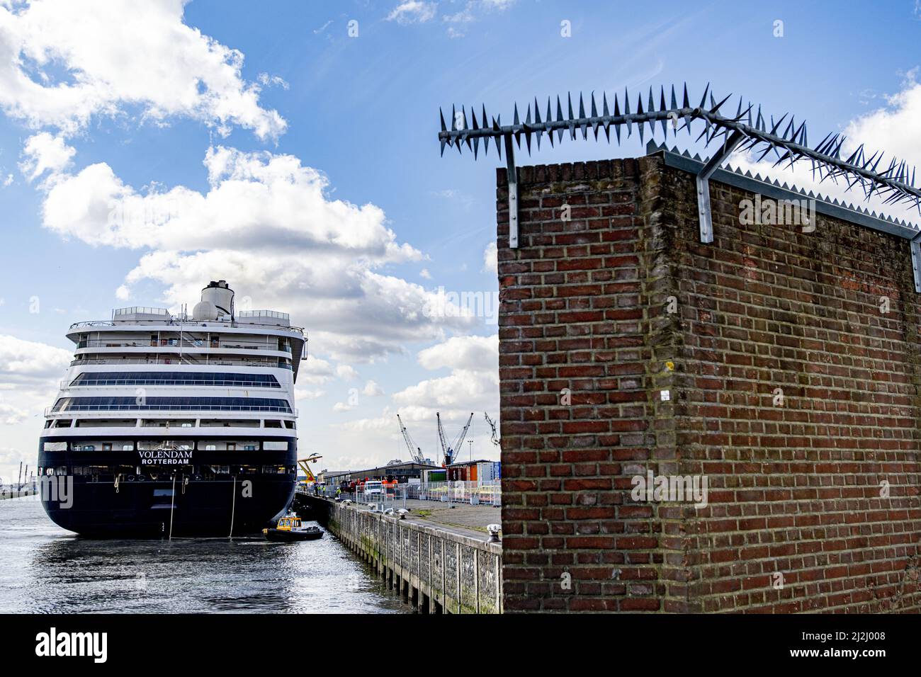 Rotterdam, Niederlande. 2. April 2022. 2022-04-02 12:17:43 ROTTERDAM - Passagierschiff De Volendam der Holland America Line im Merwehaven in Rotterdam. Das Passagierschiff wird drei Monate lang im Merwehaven ankern, um als Notunterkunft für ukrainische Flüchtlinge genutzt zu werden. ANP ROBIN UTRECHT netherlands Out - belgium Out Credit: ANP/Alamy Live News Stockfoto