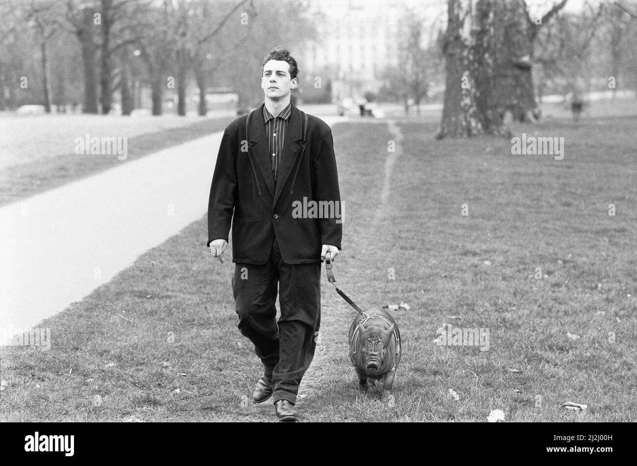 Kein alltäglicher Anblick. Ein Mann geht mit seinem Schwein im Hyde Park. 17.. März 1987 Stockfoto