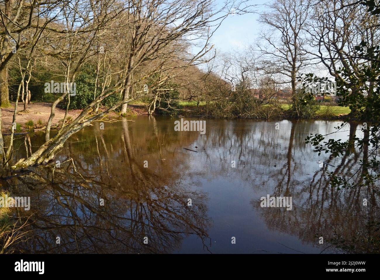 Ein Teich im Hailsham Country Park, Hailsham, East Sussex, Großbritannien Stockfoto