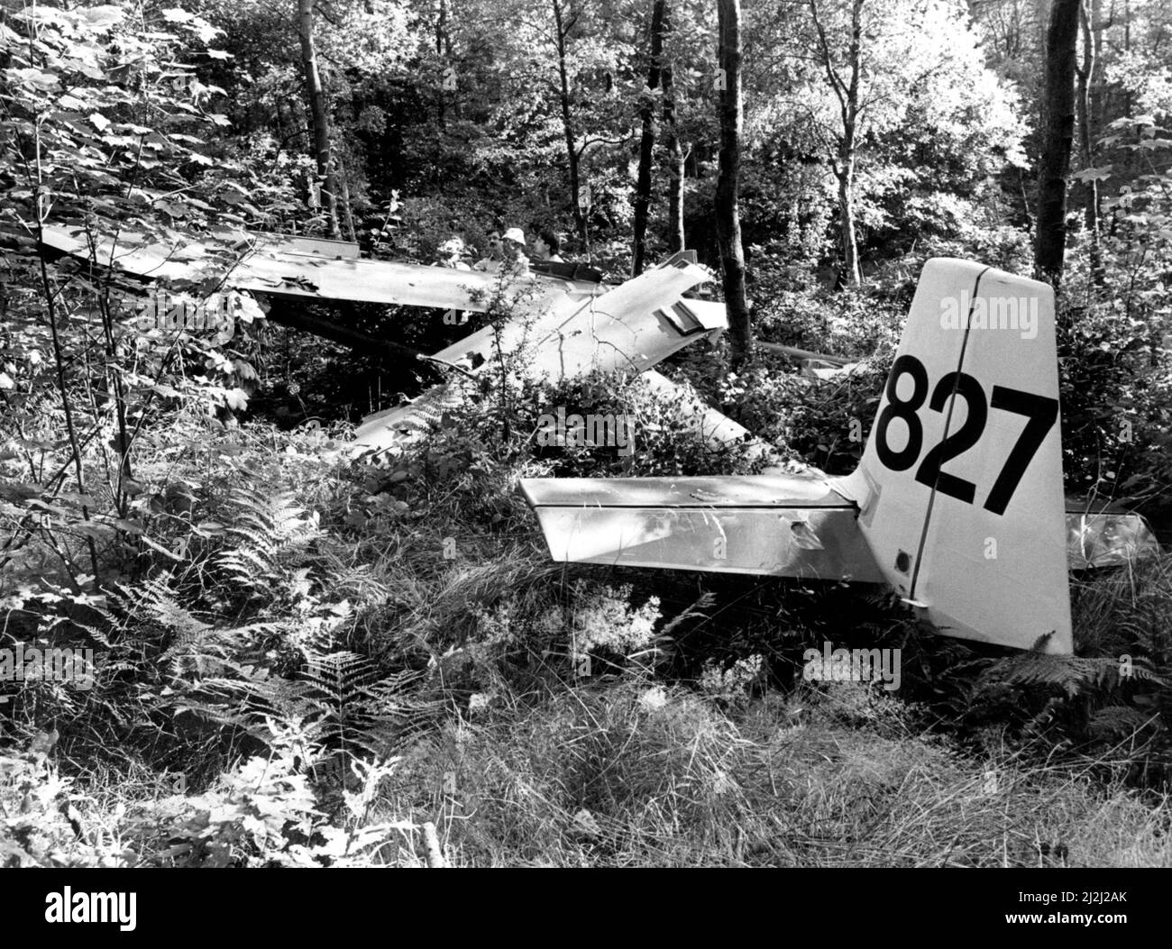 Der Segelflugpilot Martin Arrowsmith sagte, dass er sich glücklich fühlte, am Leben zu sein, nachdem sein Flugzeug außer Kontrolle in den Nordost-Wald abgestürzt war. Stunden später, der Versicherungsangestellte aus Whickham, der mit Schleudertrauma-Verletzungen entkam, siad, würde er trotz seines dramatischen Sturzes am folgenden Wochenende wieder nach oben greifen. Herr Arrowsmith, 25, hatte Heddon in einem Flugzeug ¿3.000 des Northumbria Gliding Club abheben können. 08/08/1988 Stockfoto