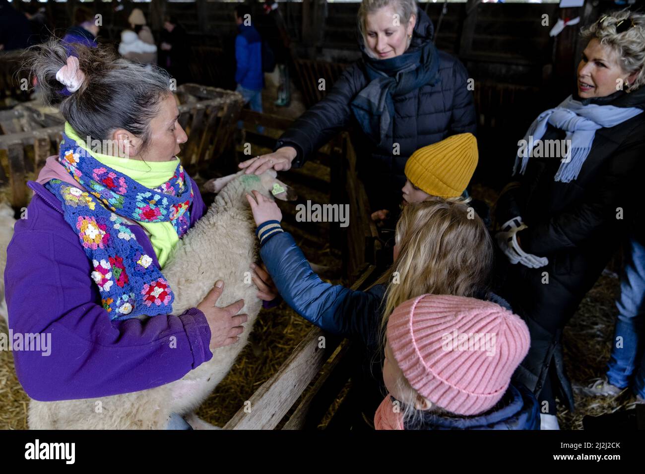 Ermelo, Niederlande. 2. April 2022. 2022-04-02 11:29:48 ERMELO - Besucher der jährlichen Lämmer Tag an der Ermelose Sheepfold. Während der Veranstaltung können Sie die in der Herde geborenen Lämmer bewundern. ANP SANDER KING netherlands Out - belgium Out Credit: ANP/Alamy Live News Stockfoto