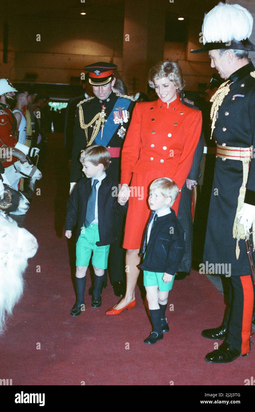Ihre Königliche Hoheit Prinz Charles, der Prinz von Wales, und ihre Hoheit Prinzessin Diana, die Prinzessin von Wales, mit ihren Kindern Prinz William (links) und Prinz Harry (rechts) nehmen am Königlichen Turnier in Olympia, Earls Court, in West London Teil. Prinz William genießt es, die Spielzeugschafe zu sehen. Bild aufgenommen am 28.. Juli 1988 Stockfoto
